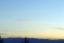 RedAwning Bitterbrush Beauty